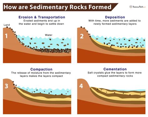 Sedimentary rocks are formed on or near the Earth's surface, in contrast to metamorphic and igneous rocks, which are formed deep within the Earth. The most important geological processes that lead to the creation of sedimentary rocks are erosion, weathering, dissolution, precipitation, and lithification.. Erosion and weathering include the effects of wind and rain, which slowly break down .... 