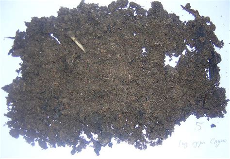 Sediment sand. Things To Know About Sediment sand. 