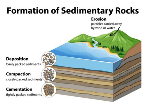 Sedimentary Rock Layers Diagram
