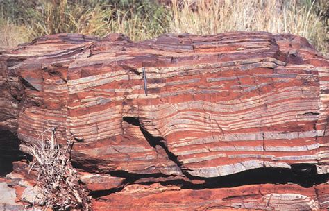 Sedimentary facies of iron-formation - GeoScienceWorld