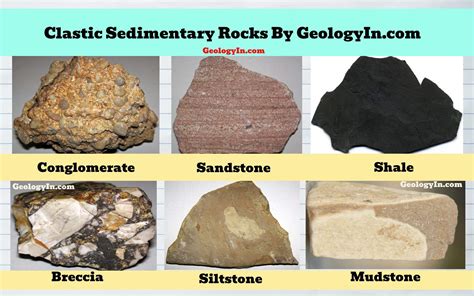 Sedimentary rocks