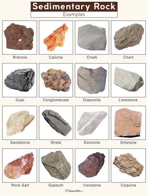 Examples of sedimentary rocks include limestone, sandstone, mudsto