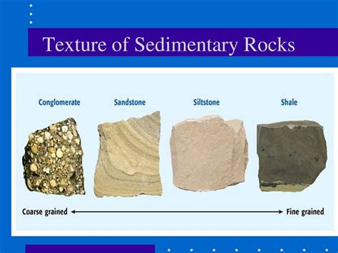 Sedimentary rock - Clastic, Chemical, Organic: The texture of a sandstone is the sum of such attributes as the clay matrix, the size and sorting of the detrital grains, and the roundness of these particles. To evaluate this property, a scale of textural maturity that involved four textural stages was devised in 1951. . 