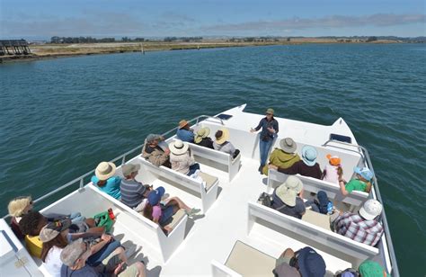 See Monterey’s sea-otter paradise with a ride on a unique, electric catamaran