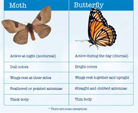 See full list on easyscienceforkids.com