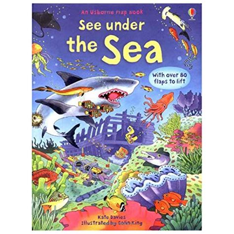 See under the sea usborne flap book. - Magic bullet 10 second recipes and user guide.