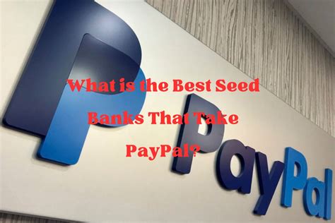 Seed Banks That Take PayPal [2024 Update] - JahCool