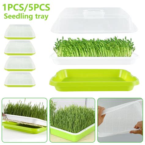 Seed Starter Trays in Hydroponics - Walmart.com