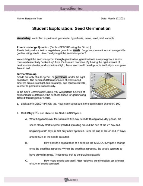 Seed germination gizmo answer key. A fair test of a hypothesis. Germination. The initial growth of a plant from a seed; sprouting. Hypothesis. A tentative explanation which can be tested by doing experiments. Seed. A small, usually hard structure that contains the embryo of a plant. Sprout. the young start of a plant (noun); to begin to grow. 