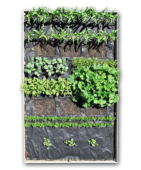 Seed sheet. Product details. Product information. Heating the soil that seeds are planted in helps them to germinate quicker and get off to a strong start. This heated mat can be placed … 
