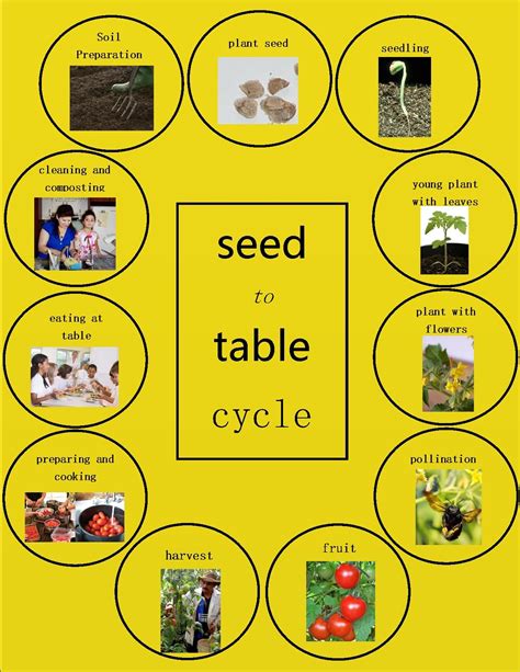Seed to table photos. Things To Know About Seed to table photos. 