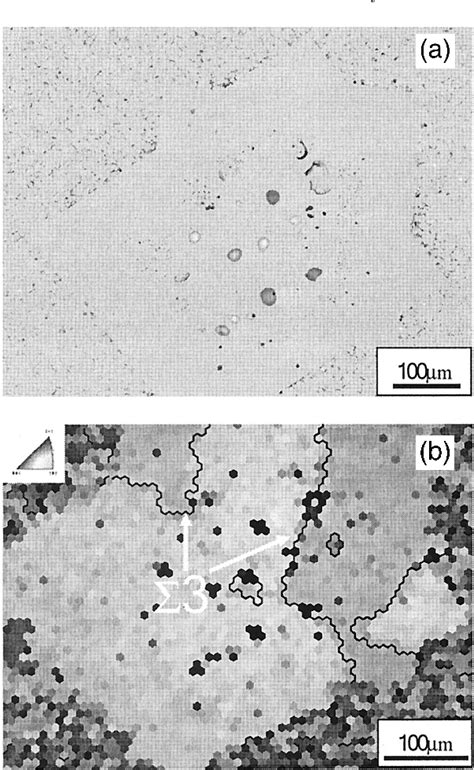 Seeded Growth from Twinned and Untwinned Abnormal Grains of …