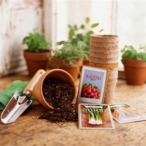 Seeds for gardening. If you’re looking out to purchase seeds in bulk for your terrace garden, visit AllThatGrows and get access to GMO-free heirloom vegetable seeds. Use organic remains like banana peels, coffee grounds, fruit peels, or tea compost to give your plants the nutritional boost instead of using chemical fertilizers. 
