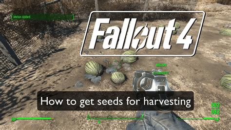 Seeds for planting crops, where? - Fallout 4 - GameSpot