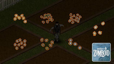 Seeds project zomboid. Mar 3, 2023 · You can find seeds via foraging (zones:vegitation, farm, farm land) or in farm-related buildings and containers. 1. Harvest 10 Tobacco Leaves. 2. Let them dry for a couple days. (with standart time settings it took about19 hours) 3. Grind them with Mortar and Pestle. 4. Use Grinded tobacco and Paper sheet to make 40 Cigarettes. Days to grow: 17 ... 
