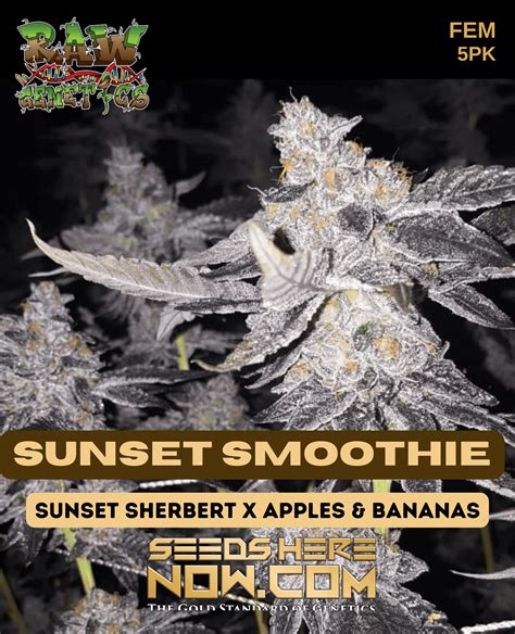 Seed Bank, USA, is the easiest way to buy marijuana seeds online. We offer a large selection of strains at great prices, with multiple, convenient payment options. BUY Cannabis SEEDS. Amnesia Haze Seeds $ 66.99 – $ 249.99. Girl Scout Cookies Seeds (GSC) $ 66.99 – $ 249.99. OG Kush Seeds $ 66.99 – $ 249.99.. 