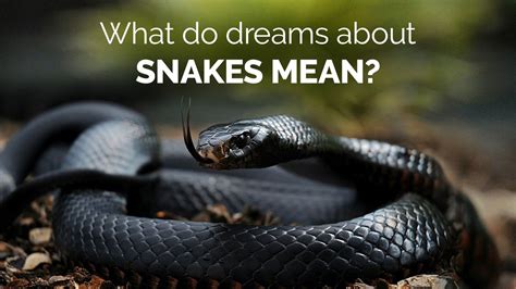 Seeing Black And White Snake In Dream Hindu