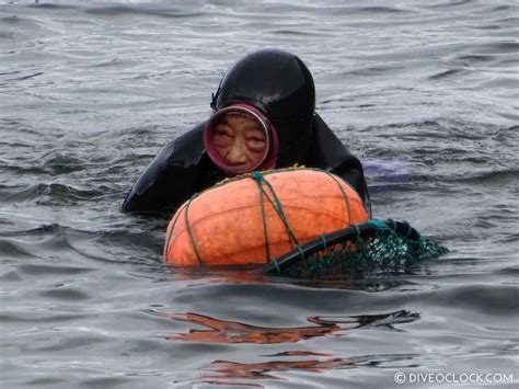 Seeing the Incredible Women Divers of Jeju Island - Dive O