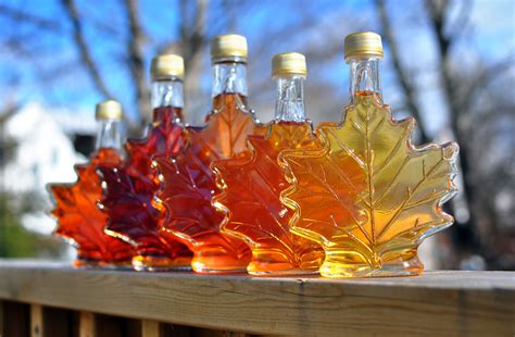 Seek out the sweet stuff during N.E.’s maple syrup season