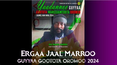 Seenaa dhaloota jaal marroo.  View live outage reports, current service status, response tim...