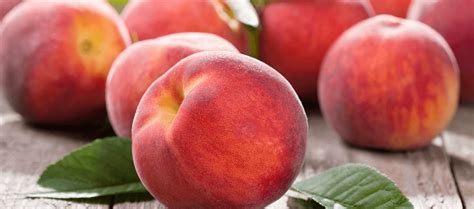 Seftali Halı ve Koltuk Yıkama