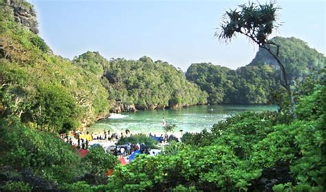 Segara anakan cilacap.  2009.  Increased human activities have increased...