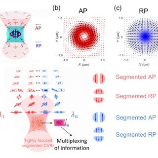 Segmented cylindrical vector beams for massively-encoded optical …