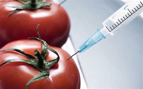 Segurança e rotulagem de alimentos geneticamente modificados seragem. - Sea doo 2015 rxt x manual.