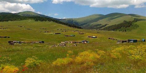 Sehitemin Halı ve Koltuk Yıkama