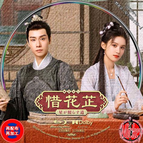 Sekikasi Halı ve Koltuk Yıkama