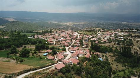 Sekioren Halı ve Koltuk Yıkama