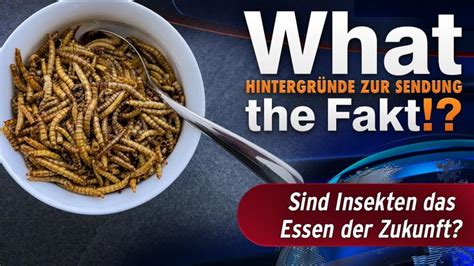 Selbsttest: Sind Insekten das Essen der Zukunft? kurier.at