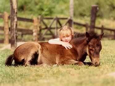 Seldom Rest Stables on EquineNow