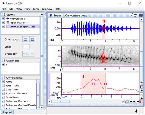 Selection Spectrum and Spectrogram Slice Views Appear Blank