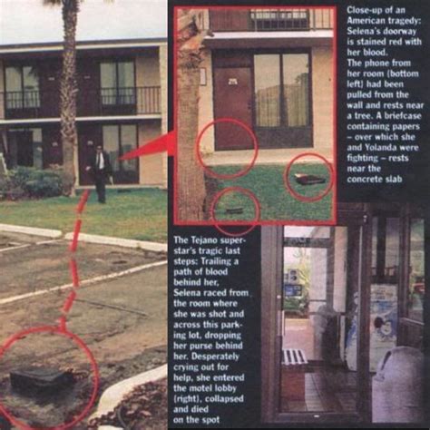 Selena crime scene photos. The 11,000-plus page report includes investigative files, 911 call transcripts, crime scene reports and thousands of photos, among them images of the aftermath of the shooting that show weapons ... 