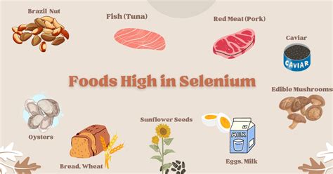 Selenium Benefits Side Effects Dosage and Interactions