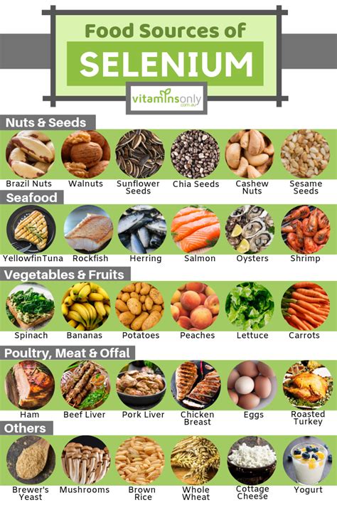 Selenium in diet: MedlinePlus Medical Encyclopedia