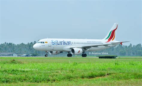 Seletar to sri lanka flights. .  ...