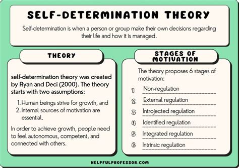 Self-determination theory (SDT) is a theory of motivation and dedication towards an ambition. It focuses on the interplay between personalities and experiences in social contexts that results in motivations of both autonomous and controlled types. An example of autonomous motivation would be doing something because of intrinsic motivation, or .... 
