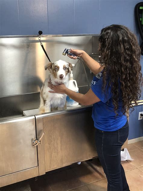 Self dog grooming. FreeHomeDelivery*. Call us with your order – 702.247.9274. Pay by credit or debit card over the phone. We will do the in-store shopping for you. We offer free home delivery for orders of $50 or more within a 5 mile radius of our stores. For home delivery of order of $50 or more outside of our 5 mile delivery radius there is a $10 delivery fee. 
