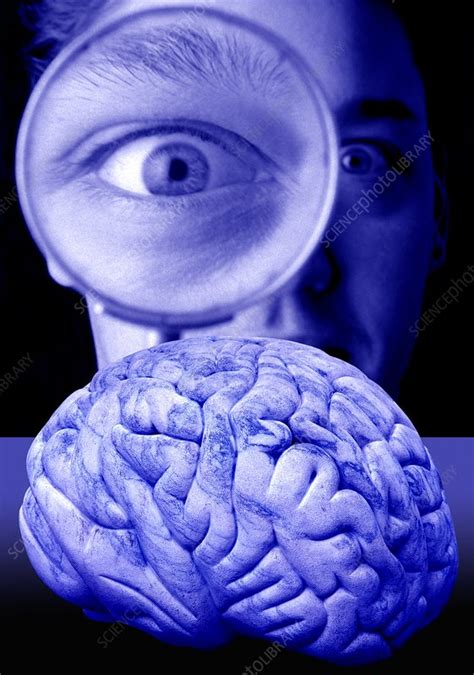 Self study brain. In study 1, participants compared the “Central Self” (“the person you truly are”) and the “Peripheral Self” (“the set of things that describe you but don't define you”) in their brain dependence, moral relevance, willful control, and temporal stability. In Study 2, participants judged specific personality traits (e.g., kindness ... 