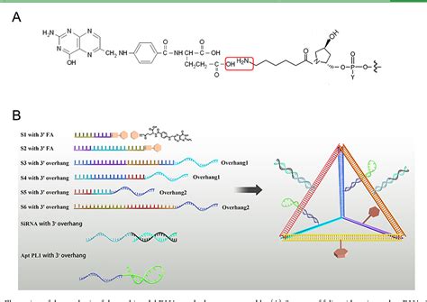 Self-Assembly of a Multifunction DNA Tetrahedron for Effective …