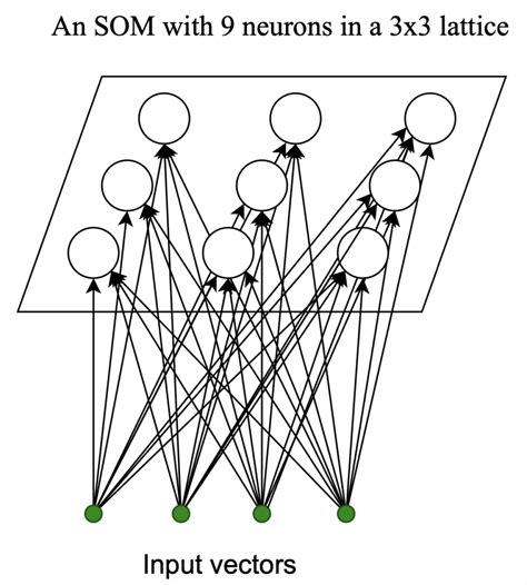 Self-Organizing Map - an overview ScienceDirect Topics