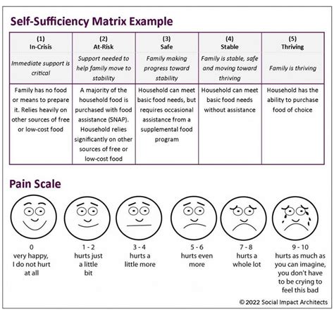 Self-Sufficiency Matrix - Bitfocus