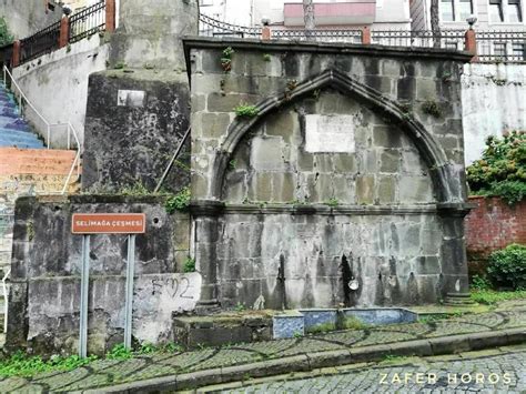 Selimaga Halı ve Koltuk Yıkama