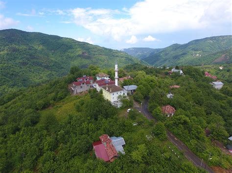 Selmanli Halı ve Koltuk Yıkama
