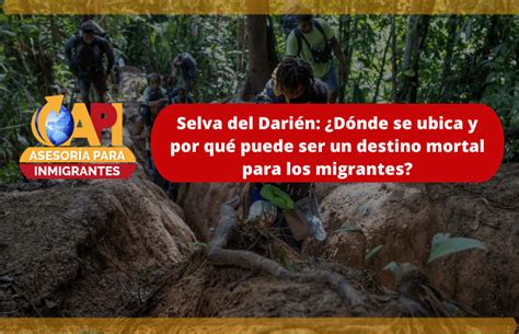 Selva de darien donde queda. #meganoticias #darién #selva #migración #migrantes La crisis migratoria se agudiza en el mundo entero y los ojos se han centrado en el Darién, una de las sel... 