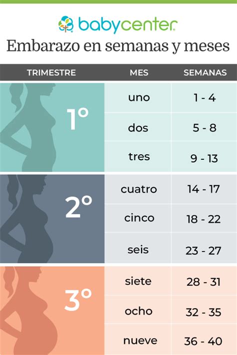 Semana 23 de embarazo ¿Cuántos meses son?