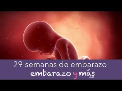 Semana 29 de embarazo - Séptimo mes de embarazo