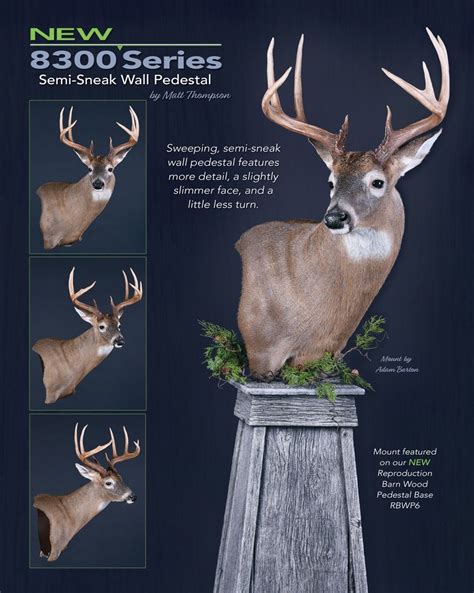 Axis Deer wall mount with a full sneak posture. Sculpted by 